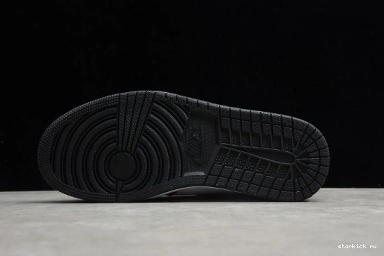 Black Retro CD0461-016 Jordan 1 Satin (W) Toe CD0461-016 High 0103